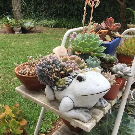 Lei * קסקאיס