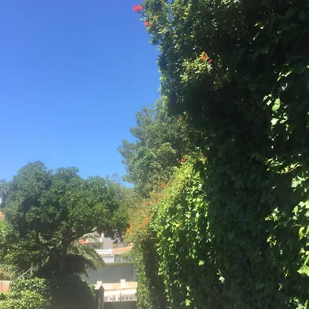 בית נופש Lei קסקאיס