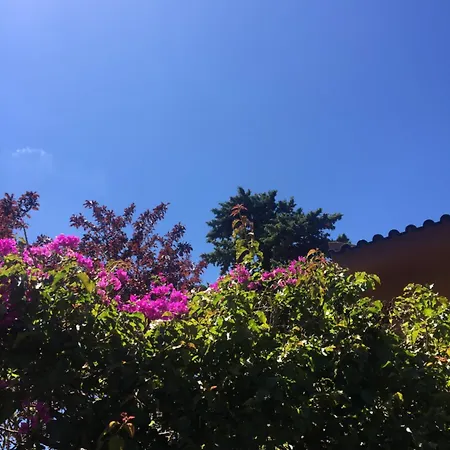 Lei בית נופש קסקאיס